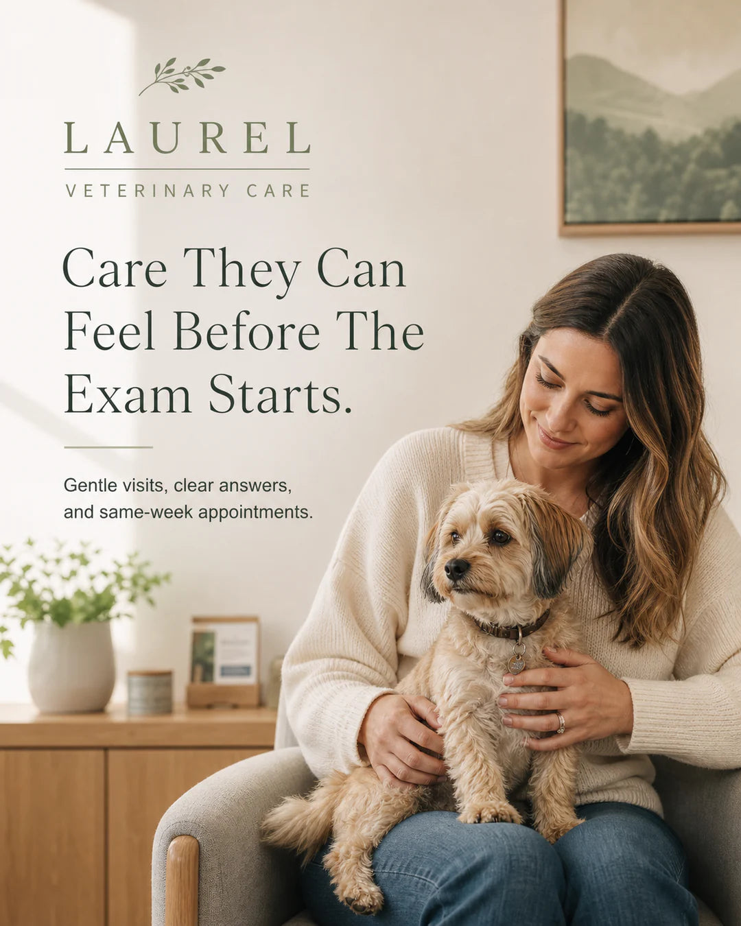 Laurel Veterinary Care lifestyle static ad